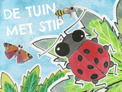 Tuin met Stip