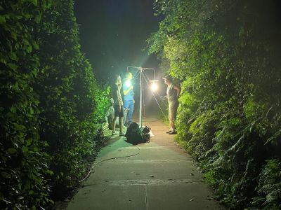 Nachtsafari Weizigt