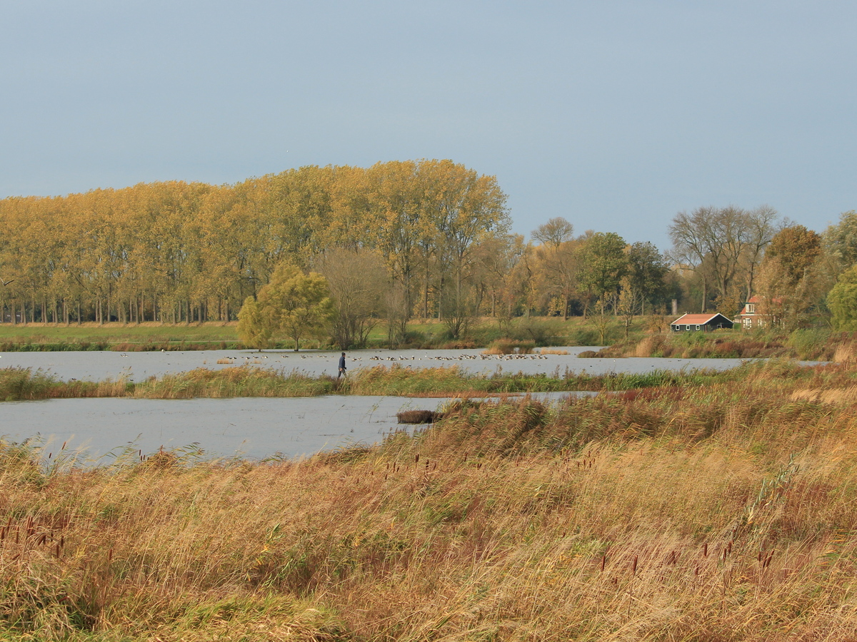 Foto: Jurgen Korporaal