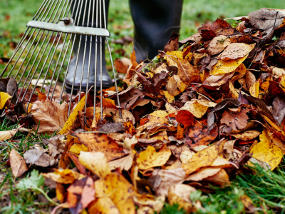De tuin winterklaar maken, Weizigt